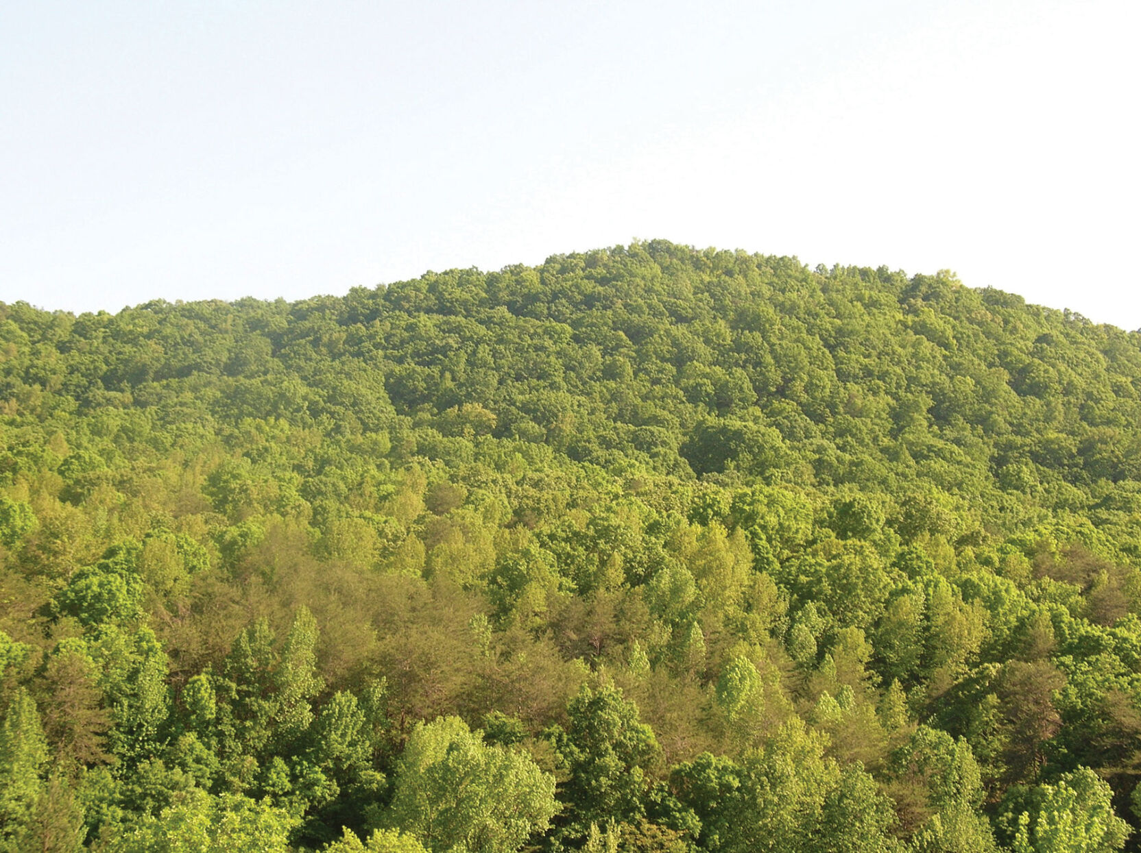 Aetna-Mountain_credit-John-Mulhouse-City-of-Dust.jpg